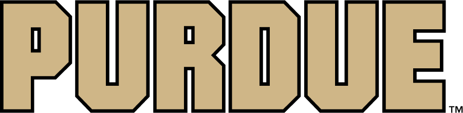 Purdue Boilermakers 2020-Pres Wordmark Logo iron on transfers for T-shirts